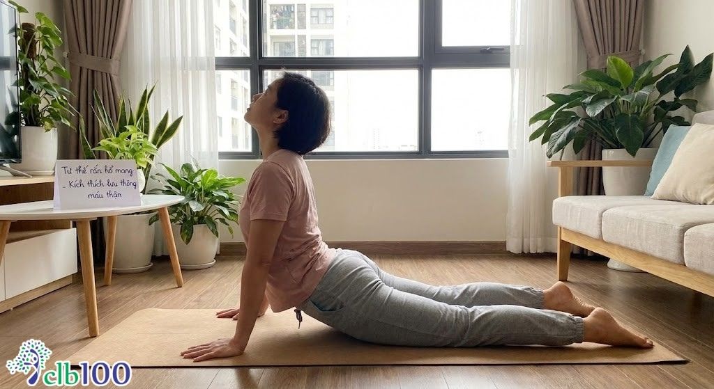 Tư thế rắn hổ mang