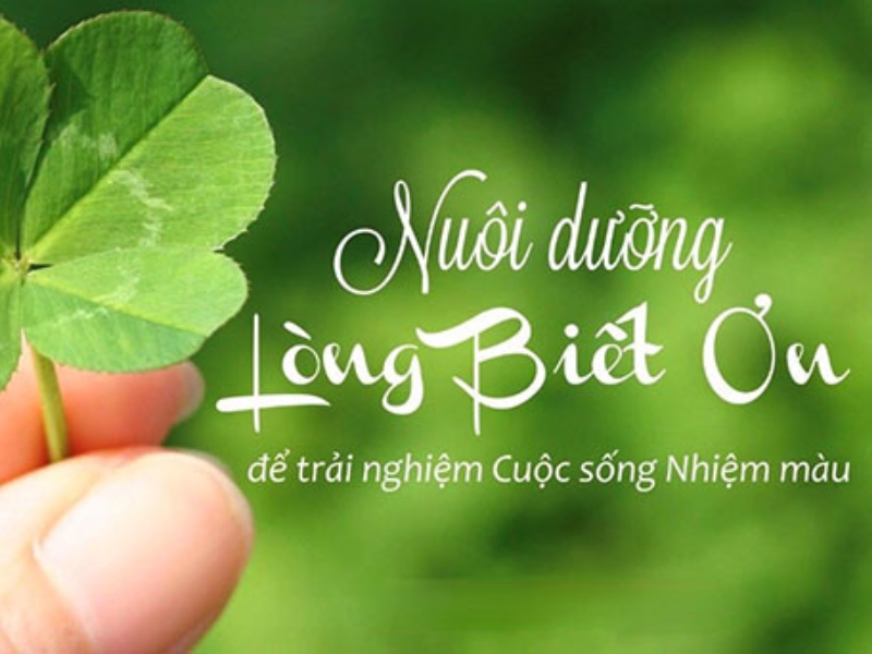 Nguyên tắc số 5: Lòng biết ơn