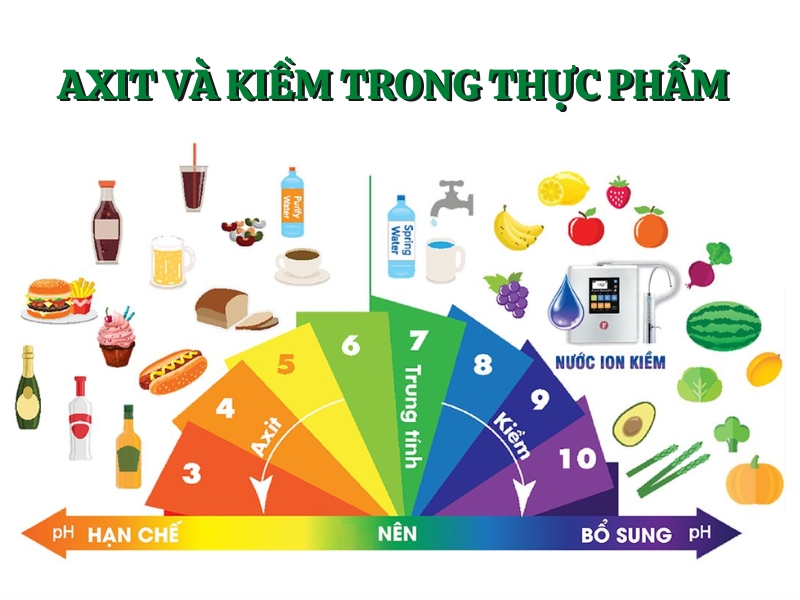 Quá trình chuyển hóa axit và kiềm từ thực phẩm