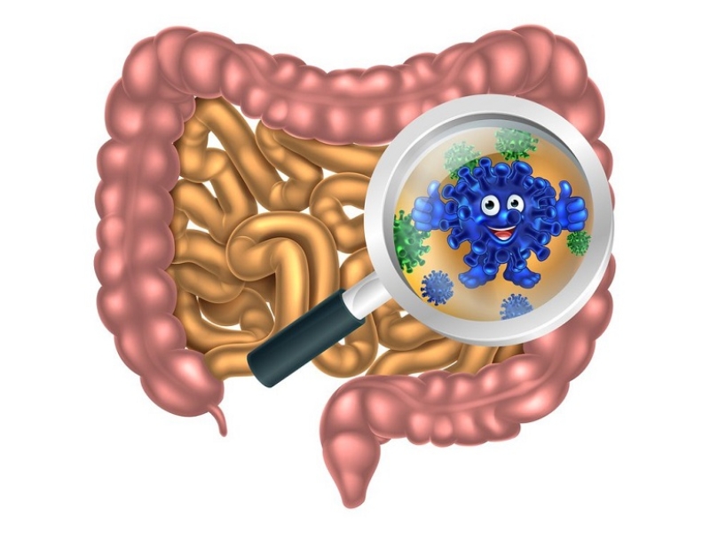Rối loạn hệ vi sinh đường ruột