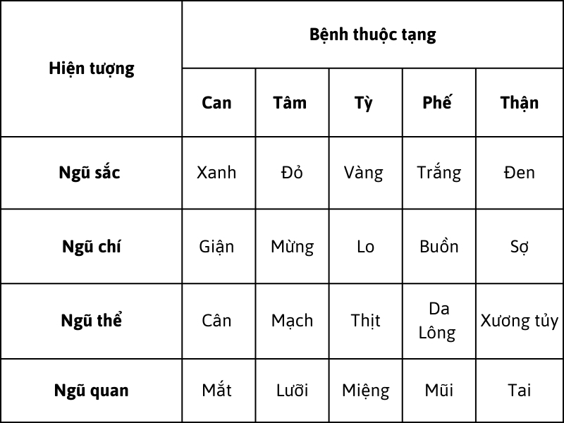 Thuyết ngũ hành trong chẩn đoán bệnh