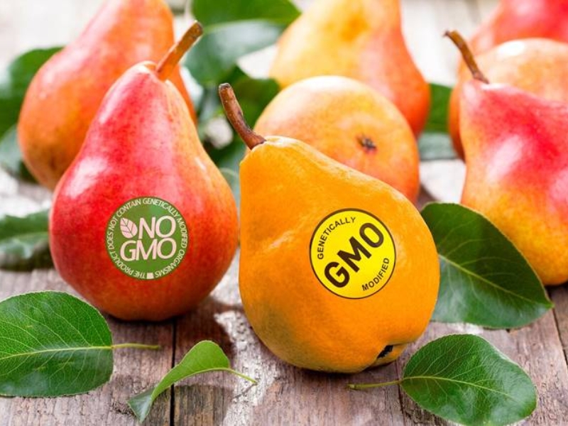 Khái niệm thực phẩm Non-GMO