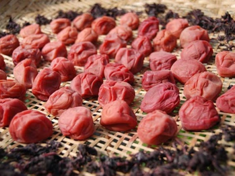 Mơ muối lâu năm - Umeboshi