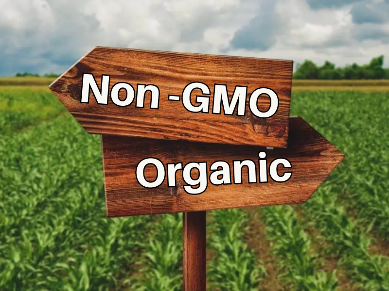 Thực phẩm Non-GMO và Organic cái nào tốt hơn?