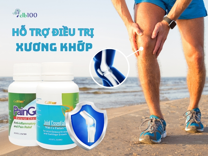 Các trợ phương thảo dược hỗ trợ điều trị bệnh xương khớp