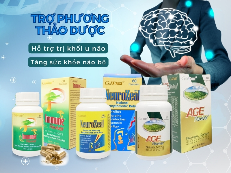 Các trợ phương thảo dược tăng sức khỏe não bộ