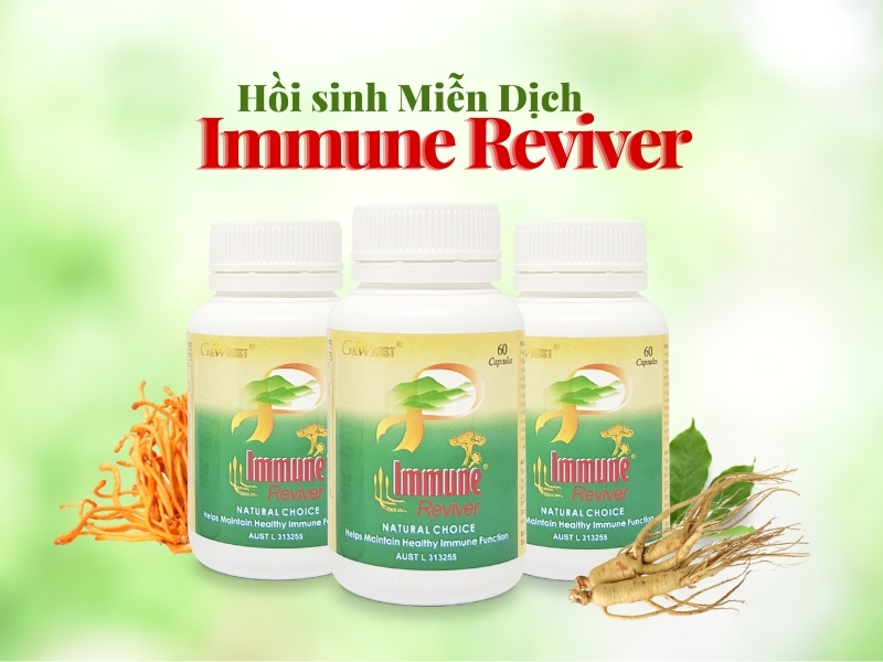 Immune Reviver - Hồi sinh miễn dịch