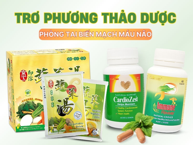 Trợ phương cho người bị và người phòng tai biến mạch máu não