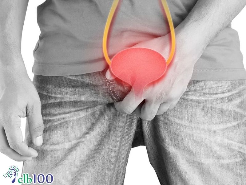 Vì sao phì đại tuyến tiền liệt ngày càng phổ biến?