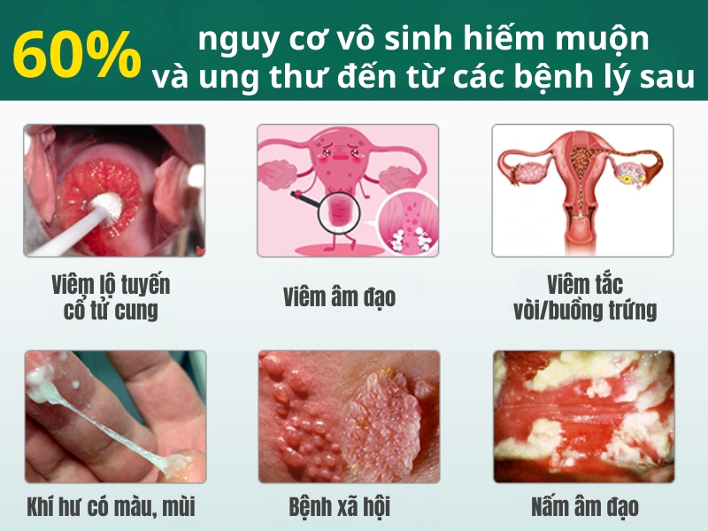 Bệnh phụ khoa nguy cơ vô sinh và ung thư