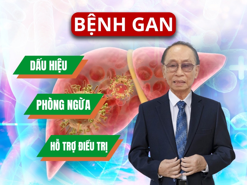 Tổng hợp Video về bệnh gan của Lương Y Trần Ngọc Tài