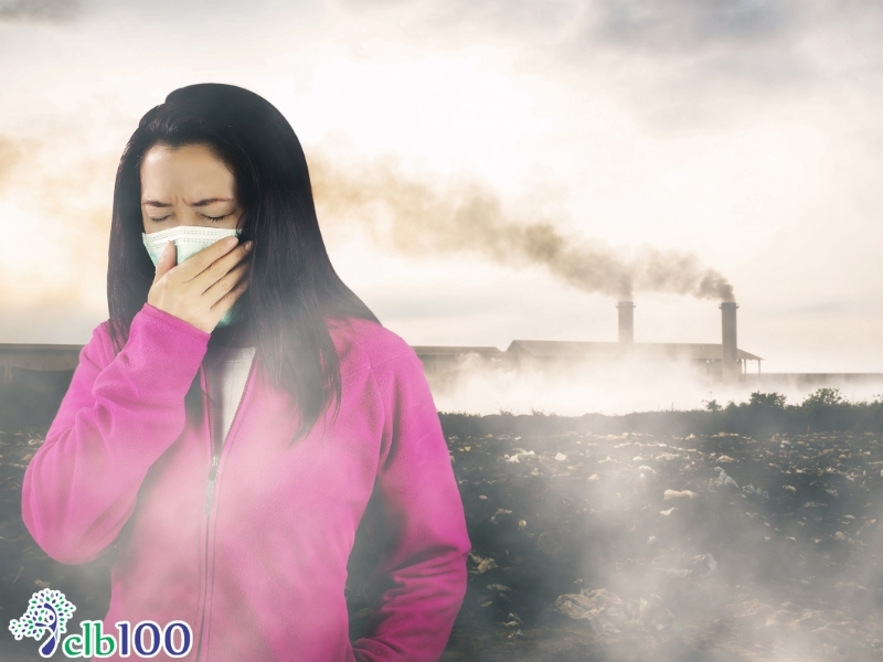 Nguyên nhân và các yếu tố kích phát cơn hen