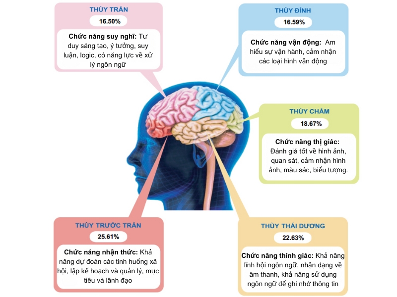 Tầm quan trọng của hệ thần kinh đối với cơ thể