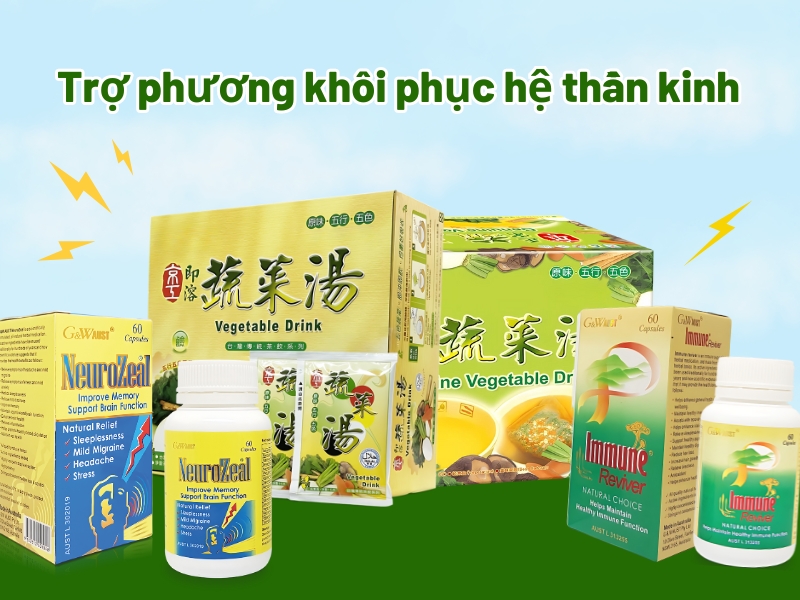 Trợ phương thảo dược cải thiện chức năng hệ thần kinh