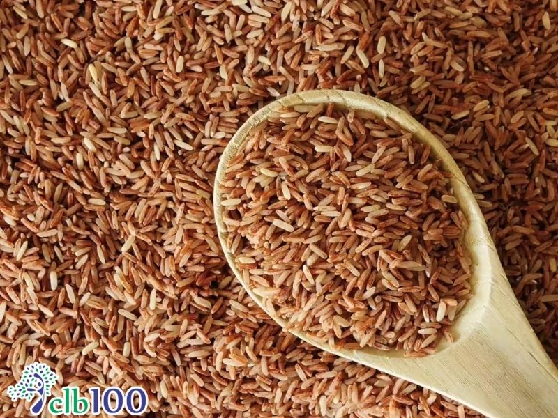 Những thực phẩm nên ăn