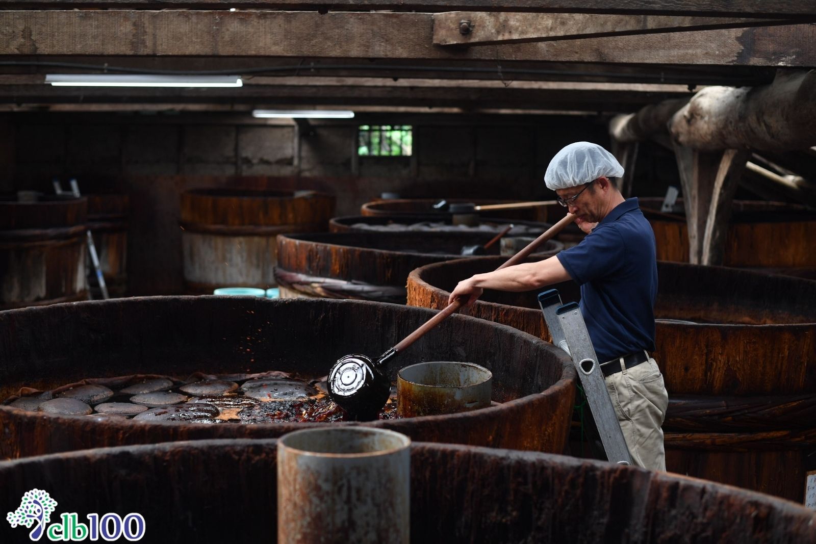 Bản chất của Tamari