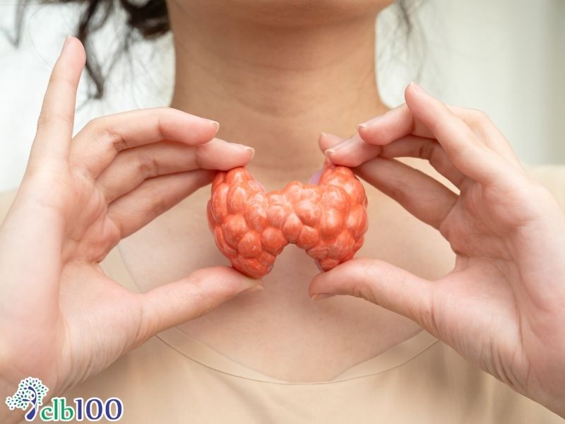 Các nguyên nhân sinh lý và tác động y khoa khác gây suy giảm chức năng tuyến giáp