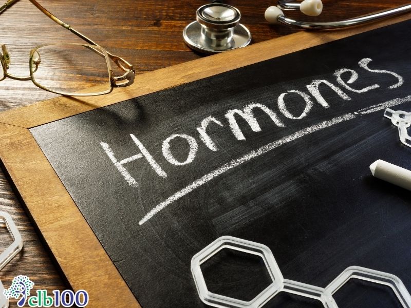 Chất béo giúp tổng hợp hormone và dung môi hoà tan Vitamin