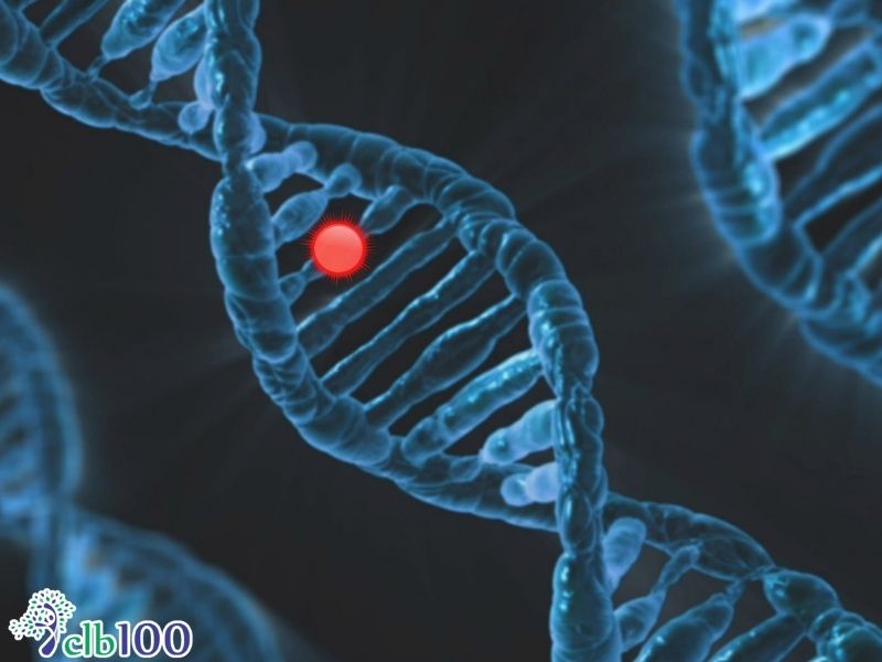 Cơ chế của hệ miễn dịch cá nhân