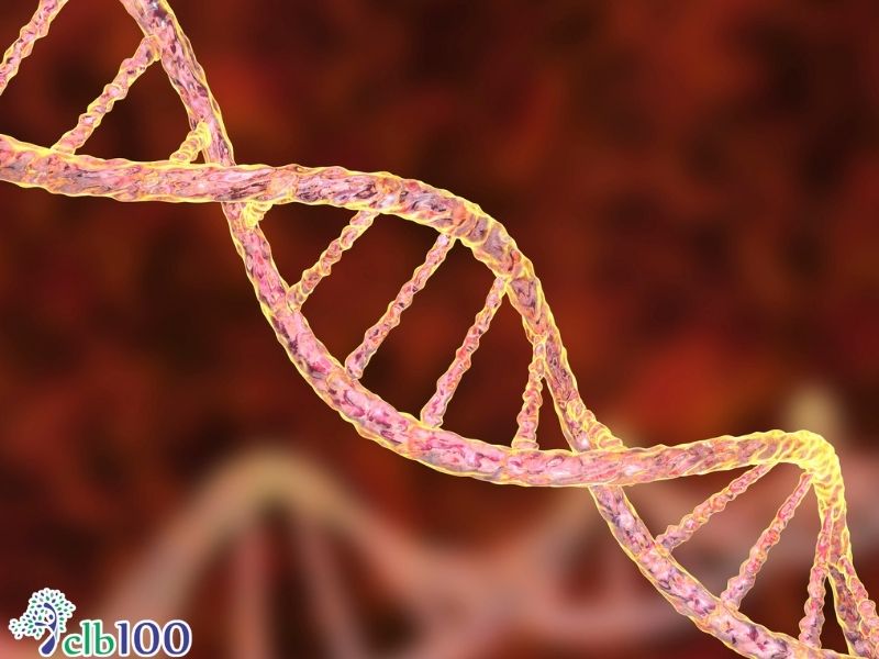 Dậy thì sớm do di truyền biểu sinh