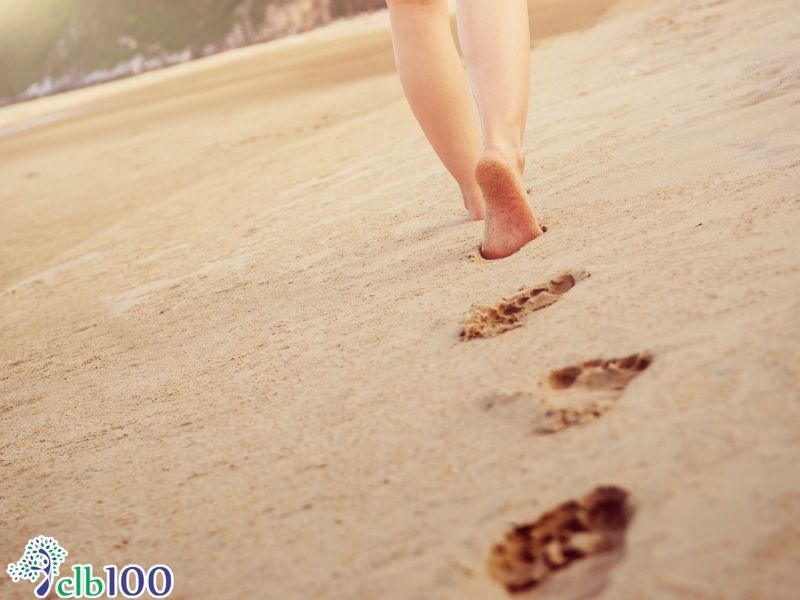 Giải pháp giúp cơ thể lặp lại quân bình, chữa lành tự nhiên