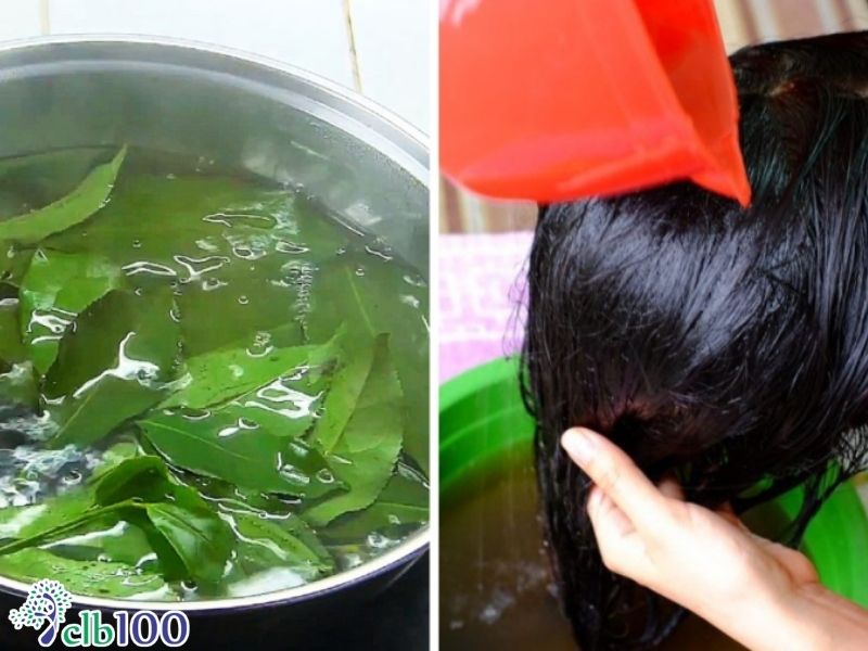 Giải pháp phục hồi tóc xơ hư tổn và chữa tóc bạc từ gốc
