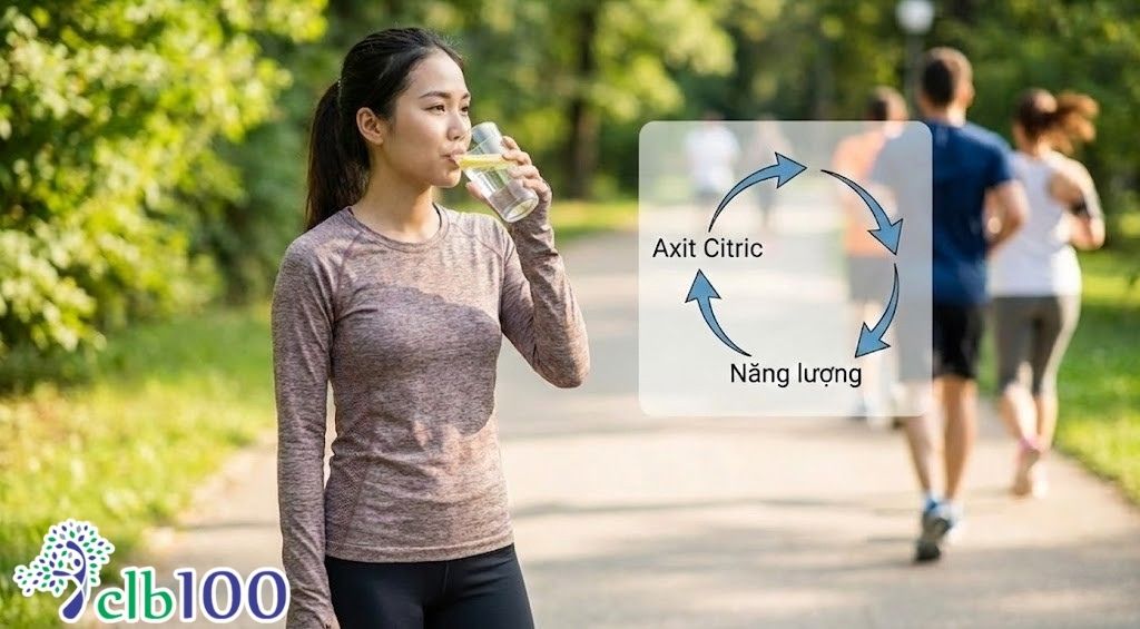 Hàm lượng axit citric trong tinh chất mơ cao gấp 10 lần chanh