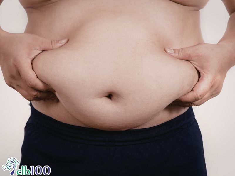 Hình thái của chất béo bão hoà