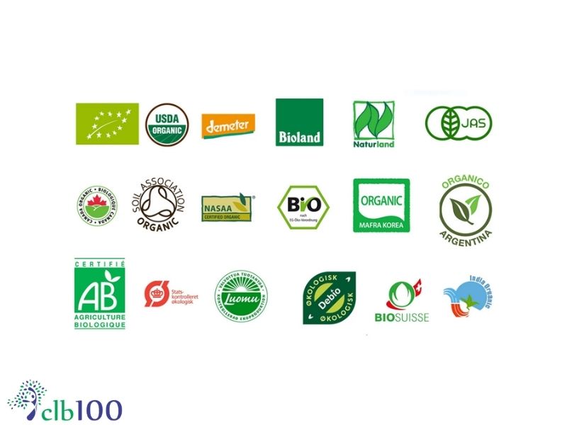 Hướng dẫn mua sắm và truy xuất nguồn gốc của rau
