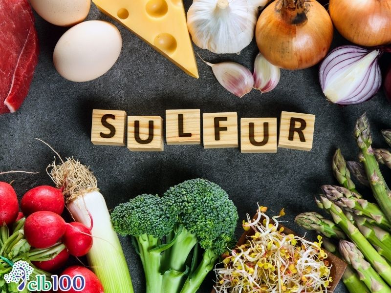 Lưu huỳnh các khoáng chất đa lượng của sự sống