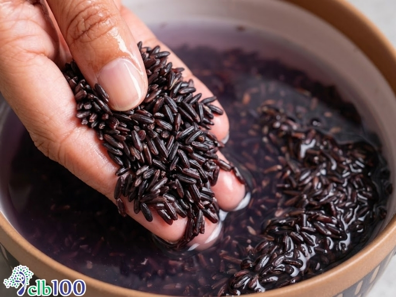 Ngâm gạo lứt trước khi nấu cơm