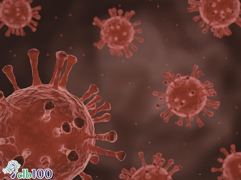 Virus nguyên nhân gây nên bệnh cảm cúm, cảm lạnh