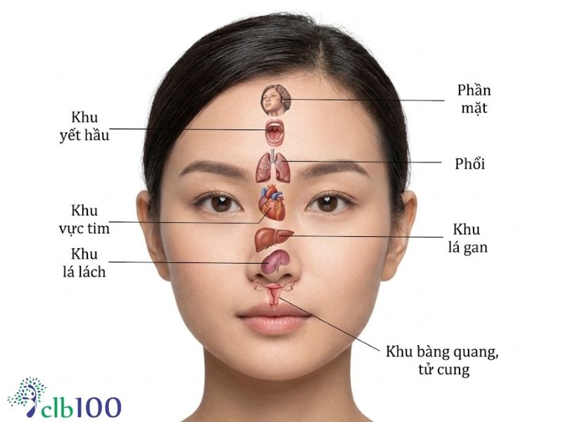 Nhận biết bệnh suy tim qua khí sắc
