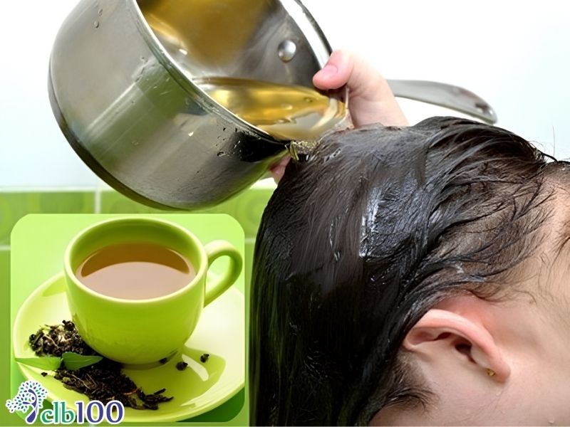 Nhuộm đen tóc an toàn bằng lá trà mạn (trà đen)