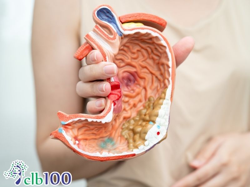 Chanh muối mật ong không chữa bệnh dạ dày, thanh lọc gan, thải độc cơ thể