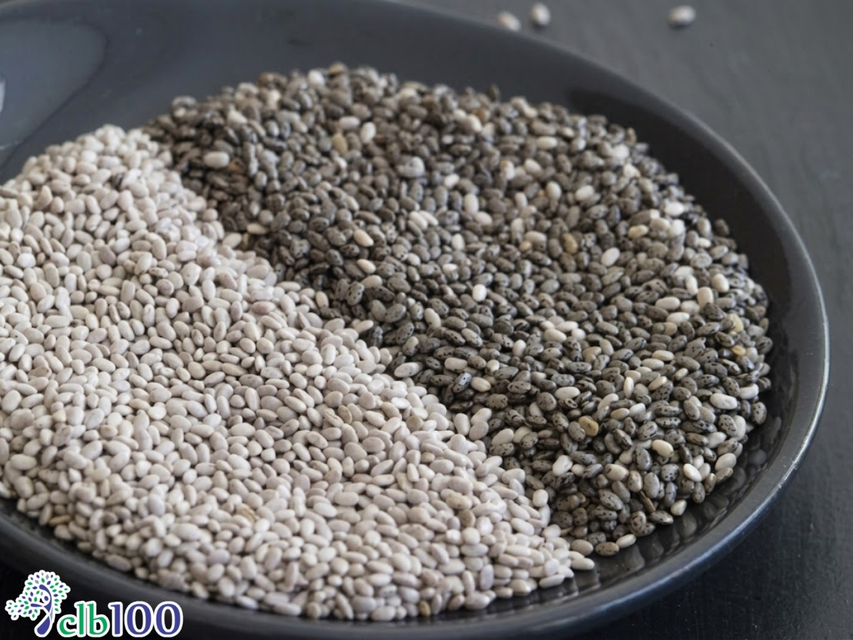 Phân biệt hạt chia đen và hạt chia trắng: Loại nào tốt hơn?