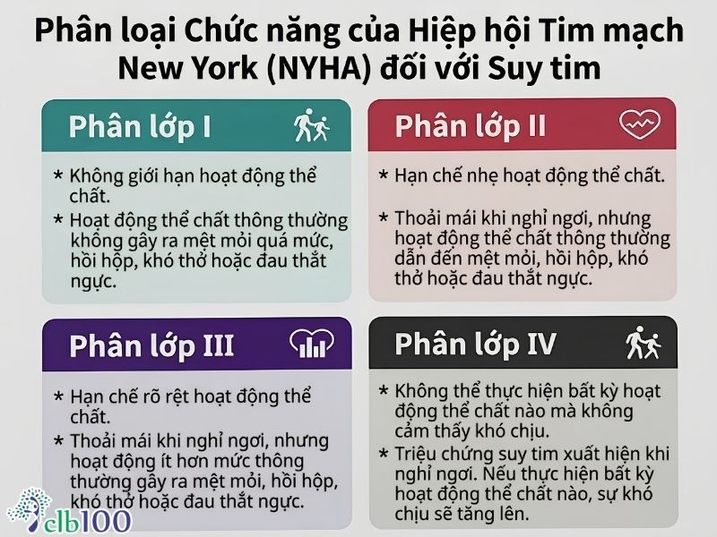 Phân độ bệnh suy tim theo NYHA (Mức độ 1,2,3,4)