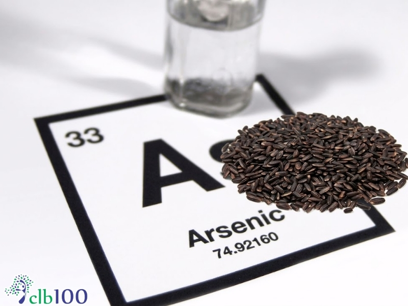 Rào cản về axit phytic và sự thật về Asen vô cơ