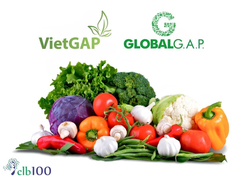 Rau sạch là gì?