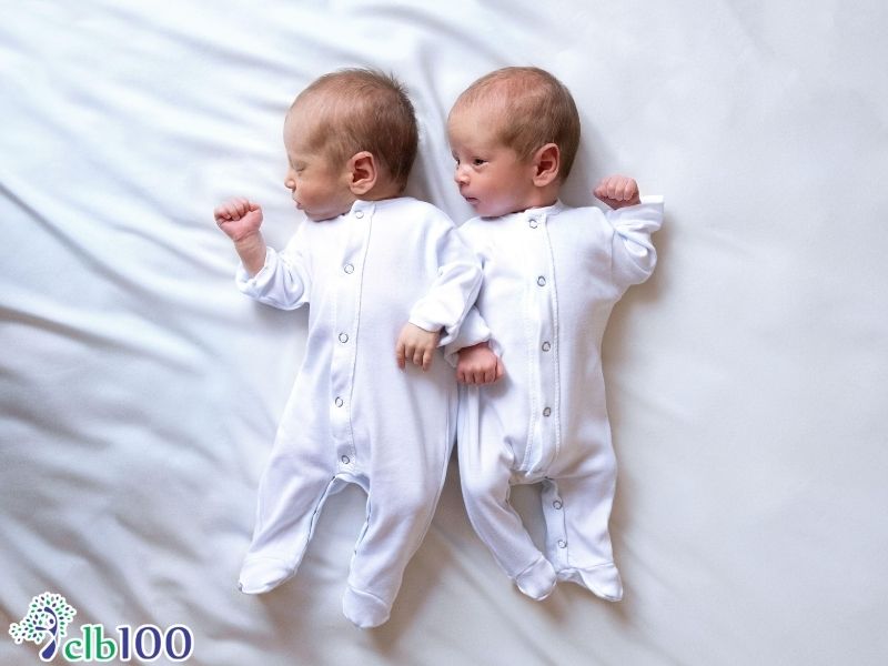 Sinh đôi cùng trứng được hình thành như thế nào?