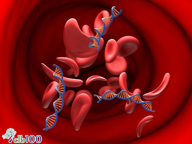 Sự tương thích về nhóm máu và hiện tượng đào thải nội tạng