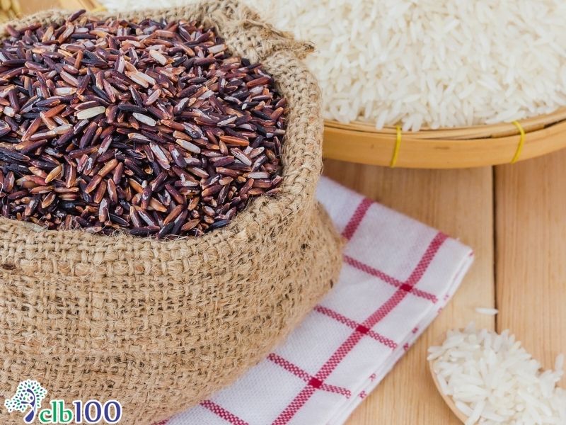 Nguyên nhân uống thuốc mãi không hết rối loạn tiền đình dưới góc nhìn thực dưỡng hiện đại