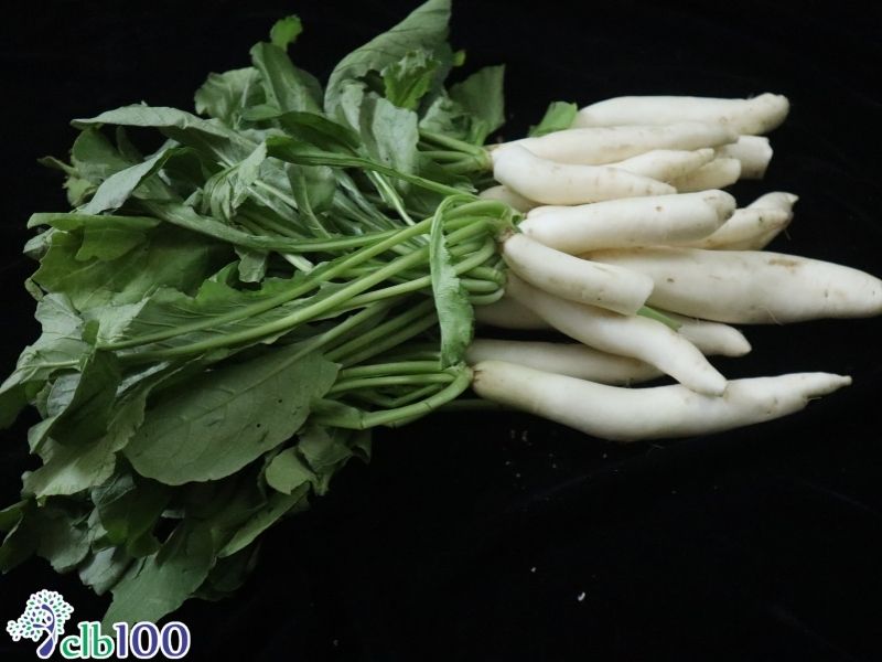 Tận dụng phần lá của các loại rau ăn củ