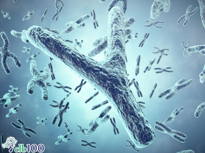 Lão hoá do Telomere ngắn lại và ADN tổn thương