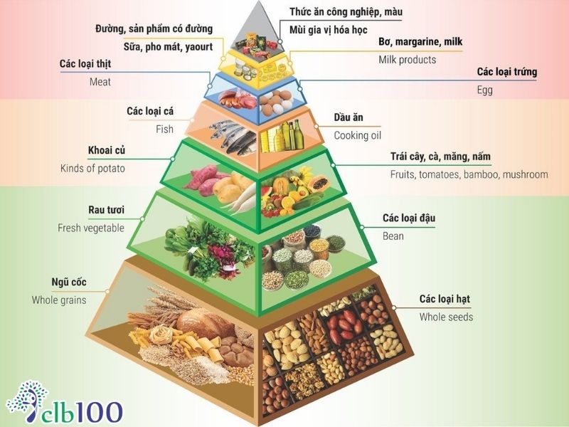 Xây dựng chế độ ăn chữa lành phù hợp để không bị stress