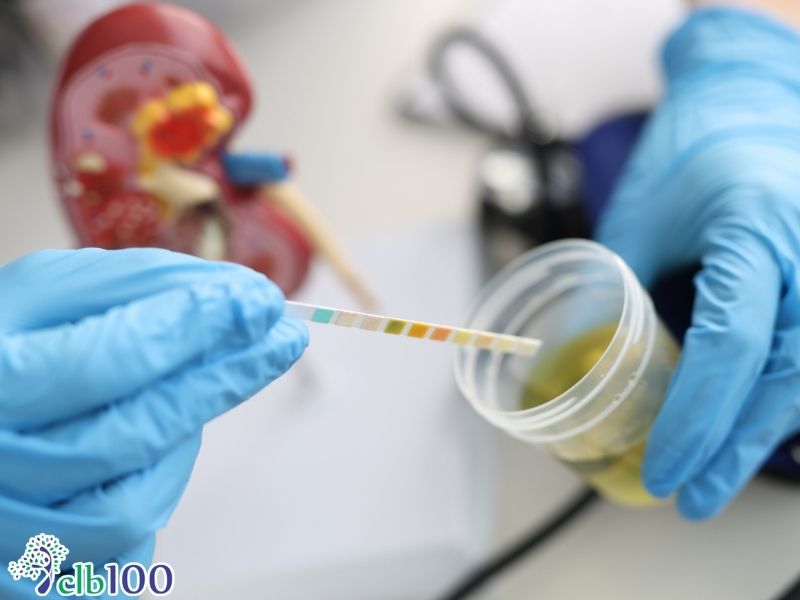 Xét nghiệm thường quy( Máu và nước tiểu) 