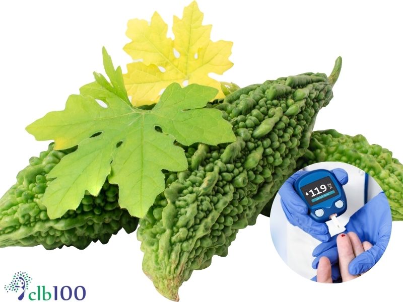Khổ qua giúp hỗ trợ cho bệnh tiểu đường loại 2