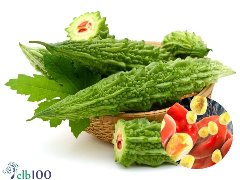 Khổ qua giúp đào thải mỡ máu, bảo vệ hệ tim mạch cơ thể