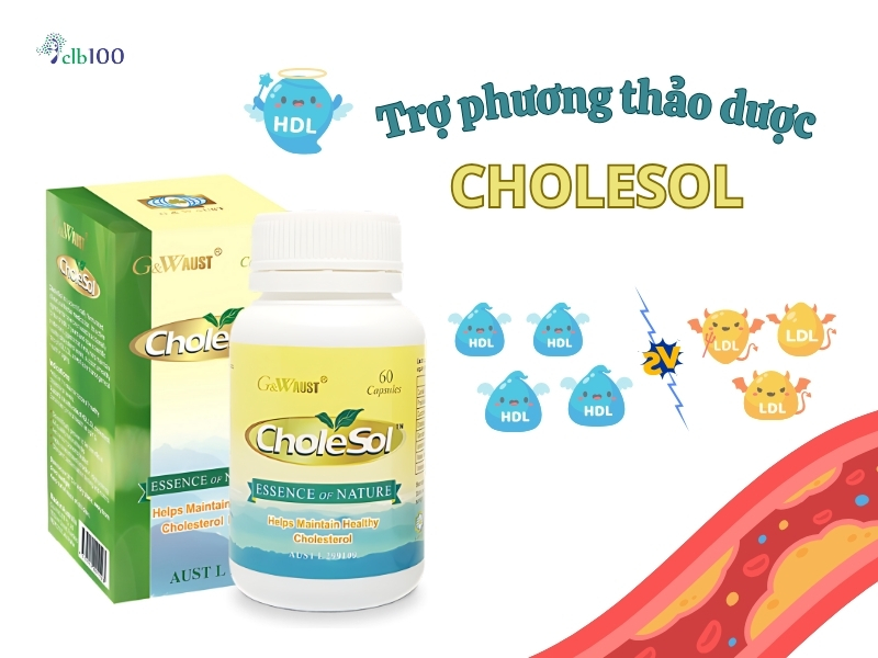 Cholesol hỗ trợ điểu trị bệnh mỡ máu