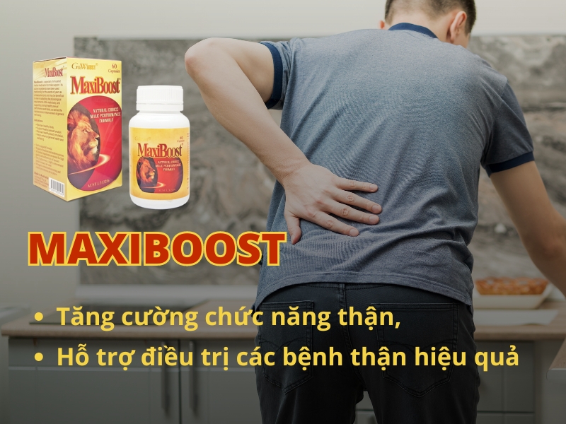 Maxiboost - trợ phương thảo dược hỗ trợ điều trị bênh suy thận